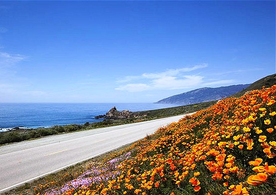california california